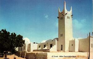 ALGERIE SAHARA 1923 A 29 EN RENAULT 6 ROUES (35)